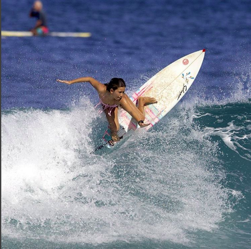 Schaper Hawaii